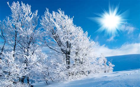 winter scene pictures|free winter scenery images.